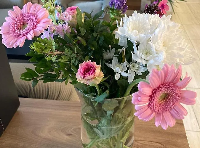 بيت ضيافة Delitz