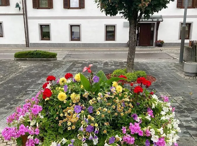 Delitz بيت ضيافة